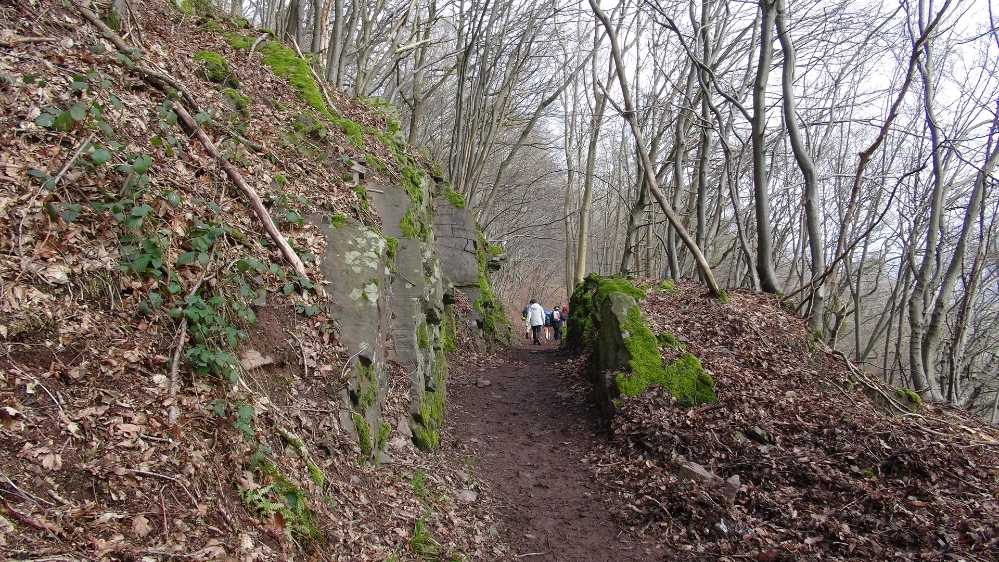 SityTrail Trail Hiking Balade à Profondeville, Profondeville